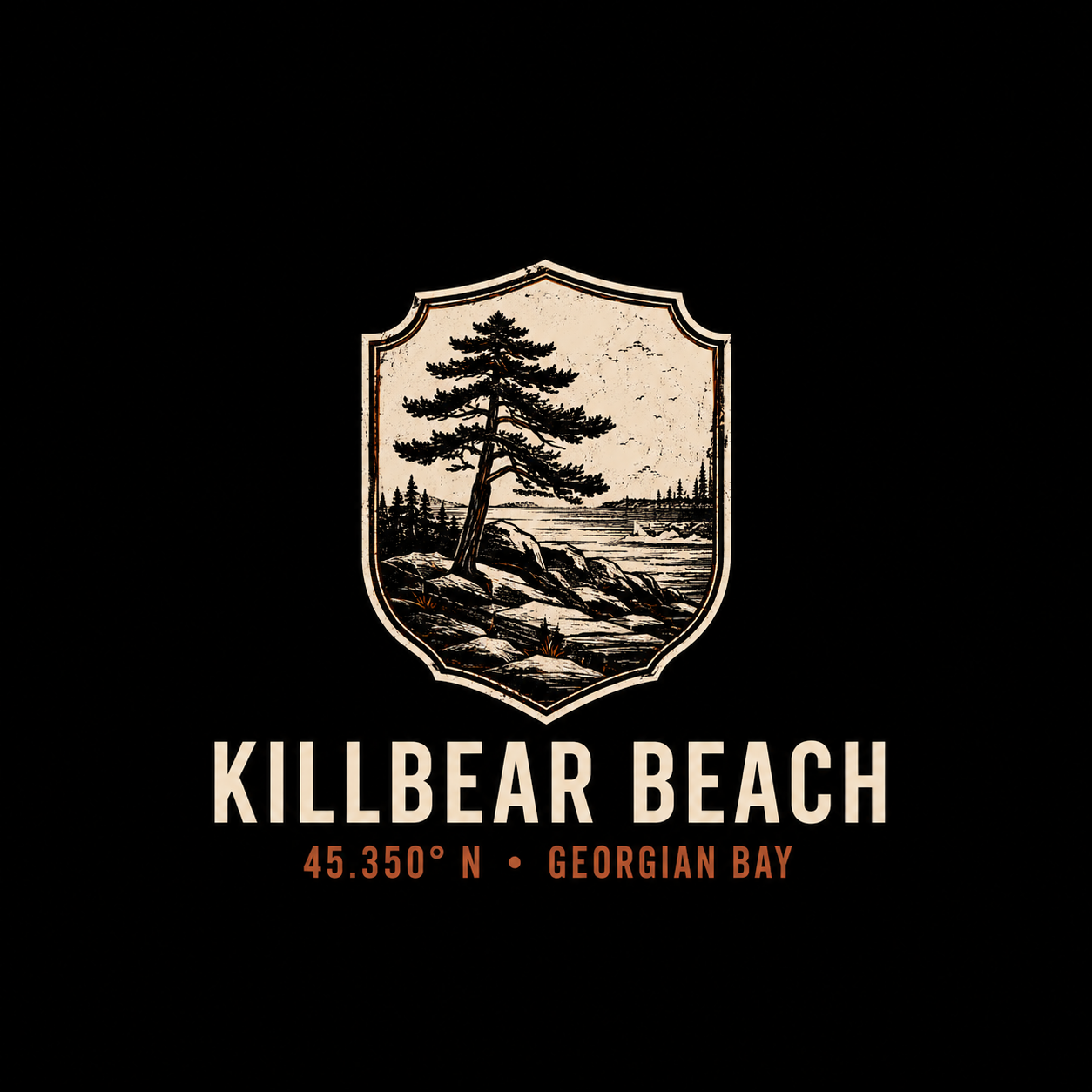 Killbear Beach